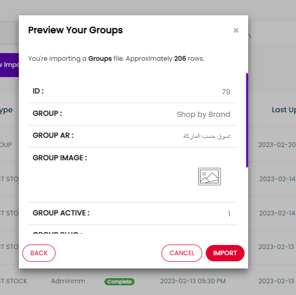 import preview modal screenshot 